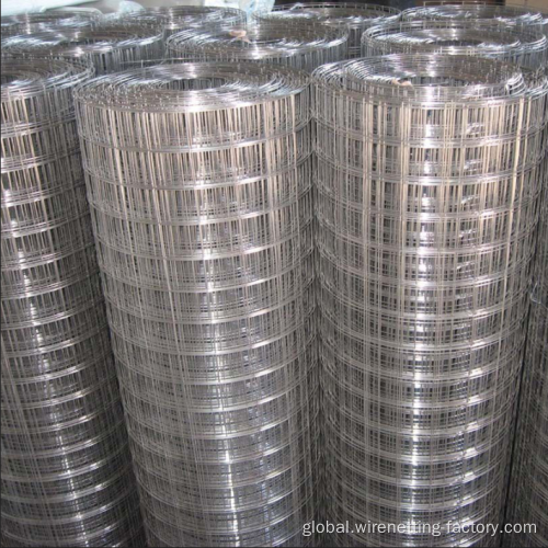 Stainless Mesh Stainless Steel Welded Wire Mesh factory directly Supplier